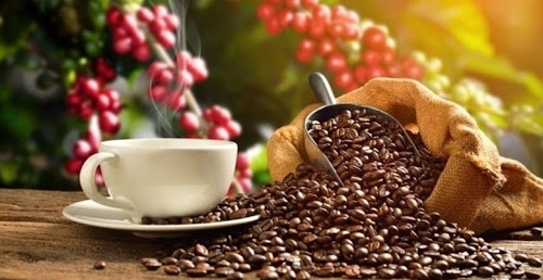 Giá cà phê hôm nay 3/7/2021: Cà phê arabica lao dốc mạnh