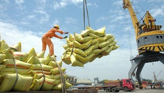 Gạo Việt, Thái tiếp tục giảm giá mạnh để cạnh tranh với gạo Ấn Độ