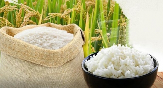 Giá gạo thế giới giảm xuống mức thấp nhất hơn một năm qua
