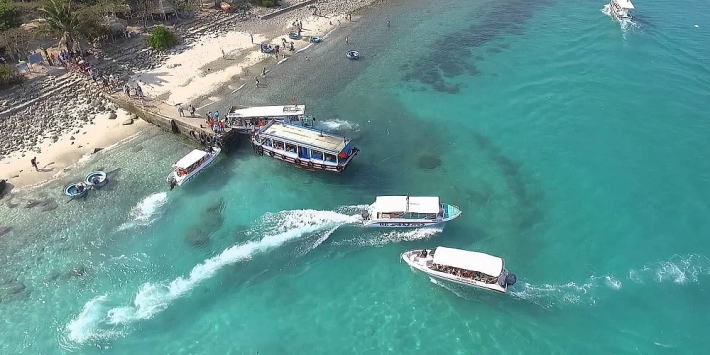 dau gia ca no vinh nha trang tai tinh khanh hoa