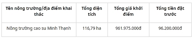 dau gia ban quyen khai thac mu tren vuon cay thanh ly tai canh nam 2020 tai tinh binh duong