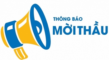 Điểm tin mời thầu ngày 5/8/2019