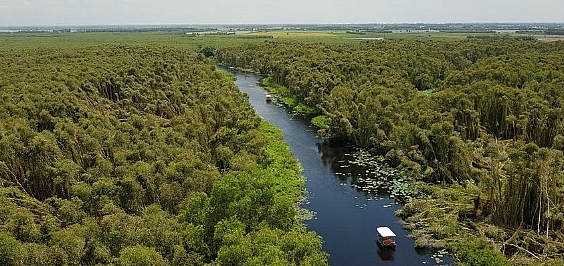 dau gia quyen khai thac rung tai tinh dong thap