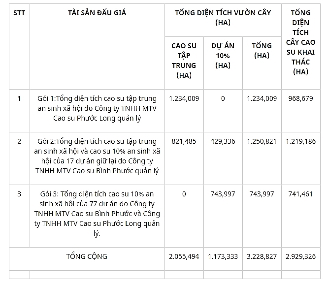 binh phuoc dau gia quyen quan ly cham soc va khai thac mu cao su