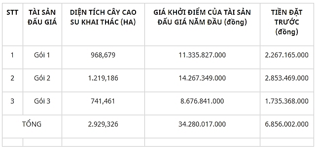 binh phuoc dau gia quyen quan ly cham soc va khai thac mu cao su