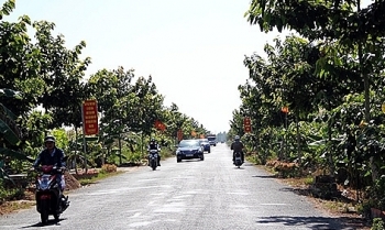 Đấu giá quyền sử dụng 5.184,1 m2 đất tại huyện Châu Thành A, tỉnh Hậu Giang