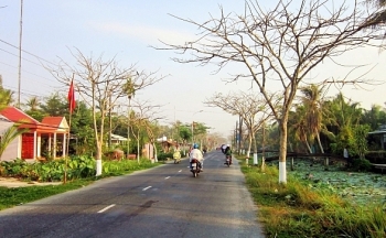 Đấu giá quyền sử dụng 145,2 m2 đất tại huyện Long Mỹ, tỉnh Hậu Giang