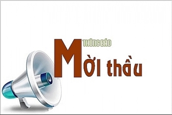 Điểm tin mời thầu ngày 23/8/2019