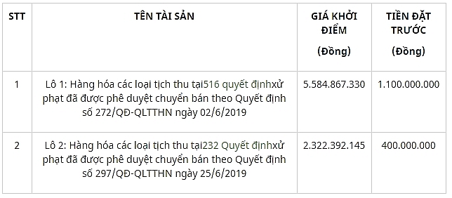 dau gia tai san vi pham hanh chinh bi tich thu sung quy nha nuoc tai ha noi