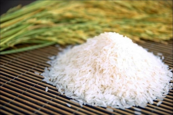 Cập nhật giá gạo chiều ngày 7/8: Gạo xuất khẩu tăng cao