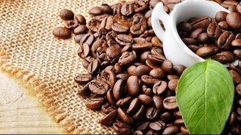 Giá cà phê hôm nay 13/8: Toàn miền tăng 100 đồng/kg