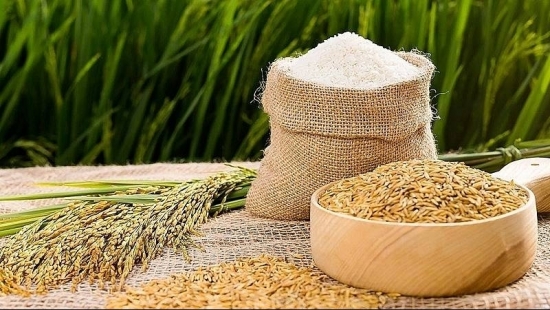 Cập nhật giá gạo chiều ngày 15/8: Gạo trong nước ổn định