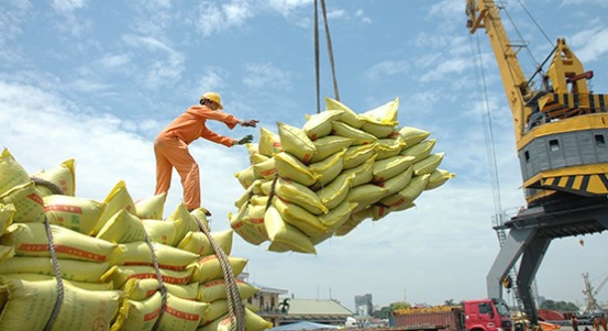 Thị trường gạo thế giới tăng trở lại