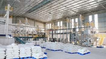 Đấu giá 3.136.456 kg gạo tại thành phố Đà Nẵng