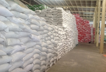 Đấu giá 161.266 kg gạo dự trữ quốc gia nhập kho 2018 tại thành phố Hải Phòng