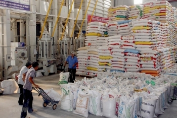 Đấu giá 4.398.514 kg gạo nhập kho dự trữ quốc gia năm 2018 tại tỉnh Thanh Hoá