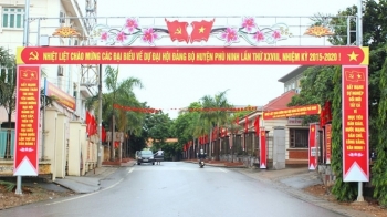 Đấu giá quyền sử dụng đất tại huyện Phù Ninh, tỉnh Phú Thọ