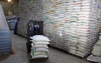 Đấu giá 1.148.621 kg gạo tẻ Nam bộ tại thành phố Hà Nội
