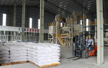 Đấu giá gạo dự trữ quốc gia loại 15% tấm tại tỉnh Khánh Hòa