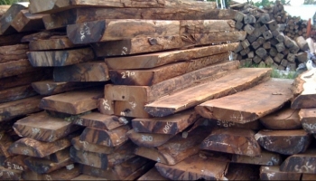 Đấu giá lô gỗ tận dụng tại tỉnh Kiên Giang