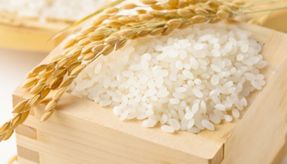 Giá gạo hôm nay 3/9: Gạo xuất khẩu tăng cao