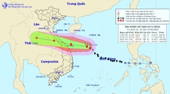 Tin bão khẩn cấp (Cơn bão số 5)