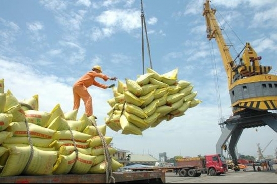 Xuất khẩu lô gạo thơm đầu tiên sang châu Âu