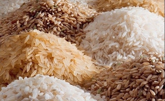 Giá gạo hôm nay 24/9: Tăng nhẹ ở một số chủng loại