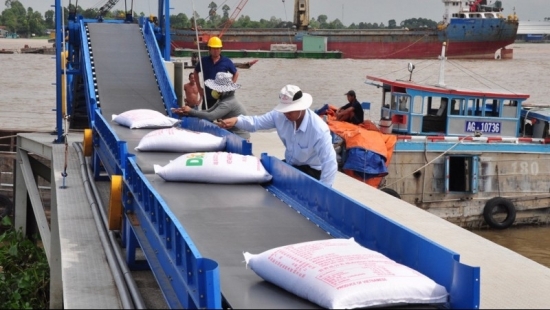 Cập nhật giá gạo chiều ngày 25/9: Gạo xuất khẩu Việt giảm giá