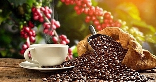 Giá cà phê hôm nay 17/9/2021: Giá robusta vượt 2.100 USD/tấn