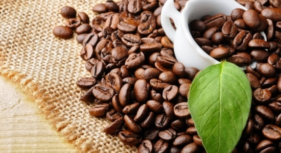 Giá cà phê hôm nay 20/9/2021: Giá robusta có thể có điều chỉnh trong tuần này?