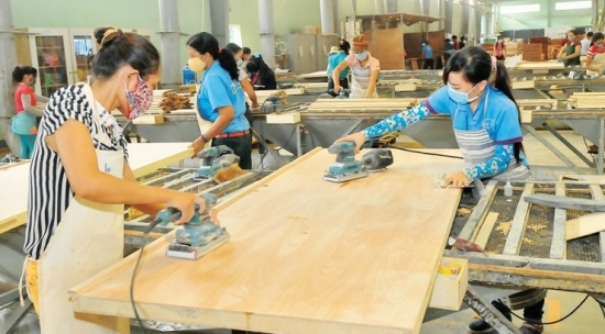 Giải pháp nào để đưa ngành gỗ Việt Nam vươn xa hơn?