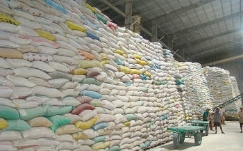 Đấu giá 6.583.005 kg gạo dự trữ quốc gia tại tỉnh Quảng Bình