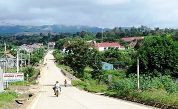 Đấu giá quyền sử dụng đất và tài sản gắn liền với đất tại huyện Cư M’gar, tỉnh Đắk Lắk