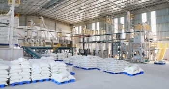 Đấu giá 7.349.245 kg gạo Nam Bộ nhập kho dự trữ quốc gia tại Hà Nội