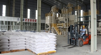 Đấu giá 4.138.447 kg gạo dự trữ Quốc gia tại tỉnh Hải Dương
