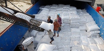 Đấu giá 161.266 kg gạo dự trữ quốc gia tại thành phố Hải Phòng