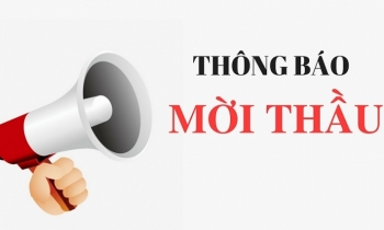 Điểm tin mời thầu ngày 11/10/2019