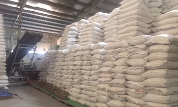 Đấu giá 1.148.621 kg gạo tẻ Nam Bộ sản xuất vụ Đông Xuân năm 2018 tại Hà Nội