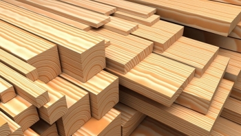 Đấu giá 44,3327m3 gỗ thu hồi tại tỉnh Gia Lai