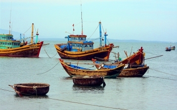 Đấu giá tàu cá đã qua sử dụng và tài sản trên tàu cá tại thành phố Đà Nẵng