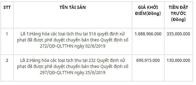 dau gia may moc thiet bi va tai san tich thu sung quy tai ha noi