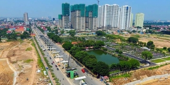 Đấu giá máy móc hàng hóa và quyền sử dụng đất tại thành phố Hồ Chí Minh