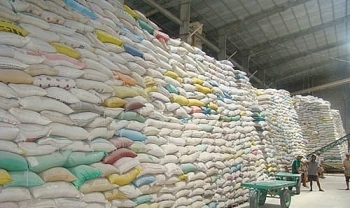 Đấu giá 6.123.005 kg gạo dự trữ quốc gia nhập kho năm 2018 tại tỉnh Quảng Bình