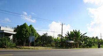 Đấu giá quyền sử dụng 2 mảnh đất tại huyện Phụng Hiệp, tỉnh Hậu Giang
