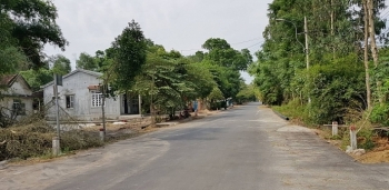 Đấu giá quyền sử dụng 8 lô đất tại huyện Quảng Điền, tỉnh Thừa Thiên Huế
