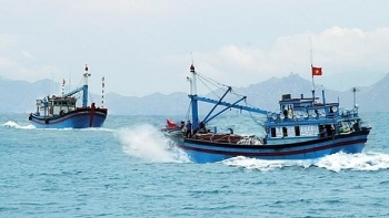 Đấu giá 2 tàu đánh cá tại tỉnh Quảng Ngãi