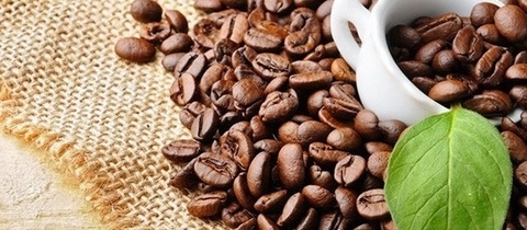 Dự báo giá cà phê tuần tới (12 - 17/10): Giá tăng nhẹ?