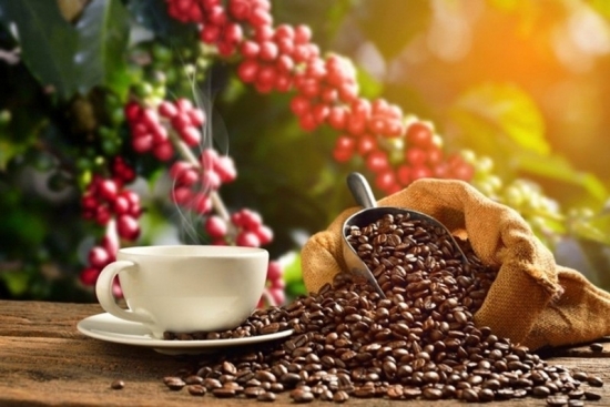 Giá cà phê hôm nay 20/10: Tiếp tục tăng 100 - 200 đồng/kg