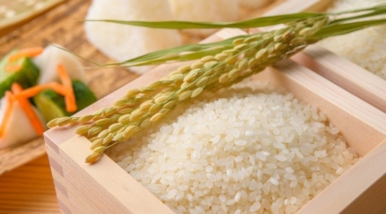 Giá xuất khẩu gạo châu Á dần đi vào ổn định, tình trạng khan hiếm tàu dấy lên lo ngại tại Thái Lan